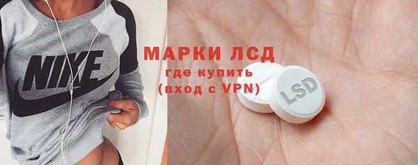 хмурый Алексин