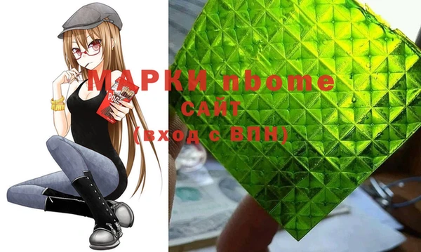 хмурый Алексин