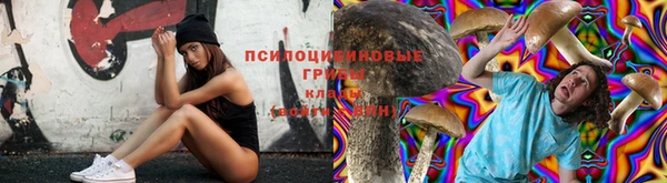 ECSTASY Алексеевка