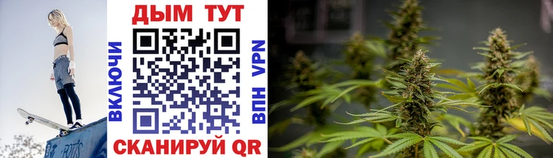 darknet Telegram  Якутск  Шишки марихуана конопля  наркошоп 